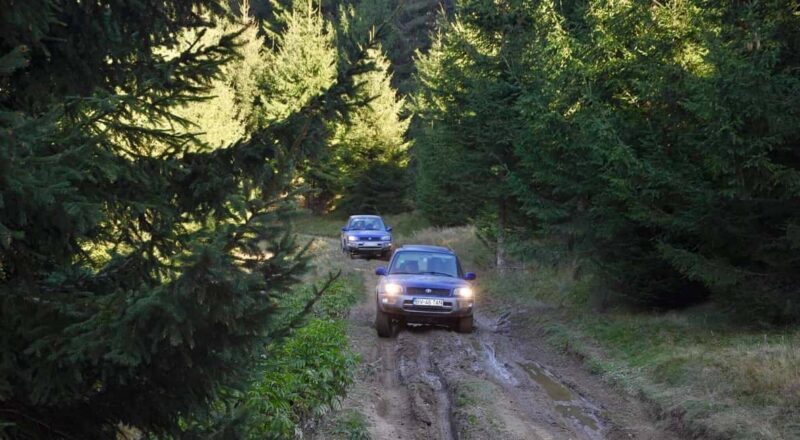 From Bucharest: Off-Road in the Carpathian Mountains - Key Points