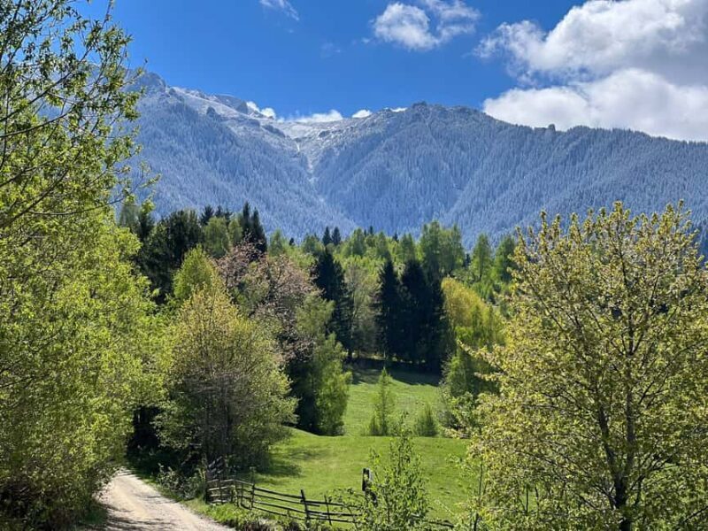 From Bucharest: Off-Road in the Carpathian Mountains - Who Will Love This Tour?
