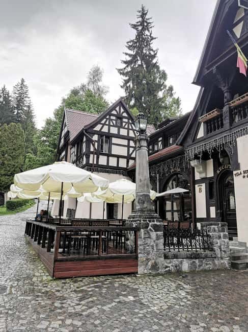 From Bucharest: Private tour to Peles Castle 6 Hours - The Practicalities