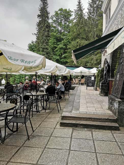 From Bucharest: Private tour to Peles Castle 6 Hours - The Sum Up