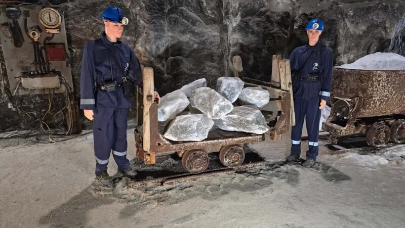 From Bucharest: Salt Mine, Mogosoaia Palace & Dracula's tomb - The Sum Up