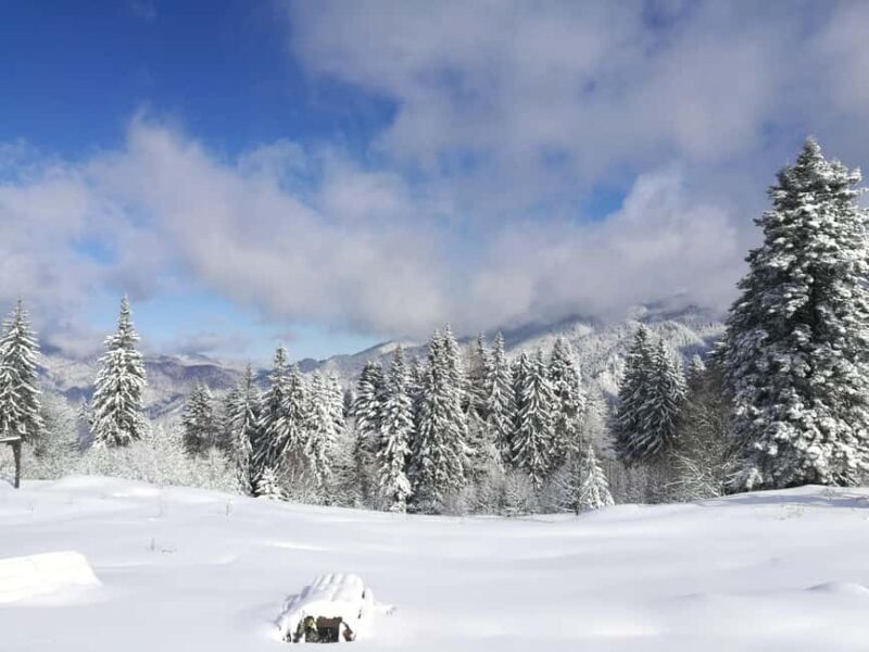 From Bucharest: Snowmobile Tour in the Carpathian Mountains - The Itinerary Breakdown