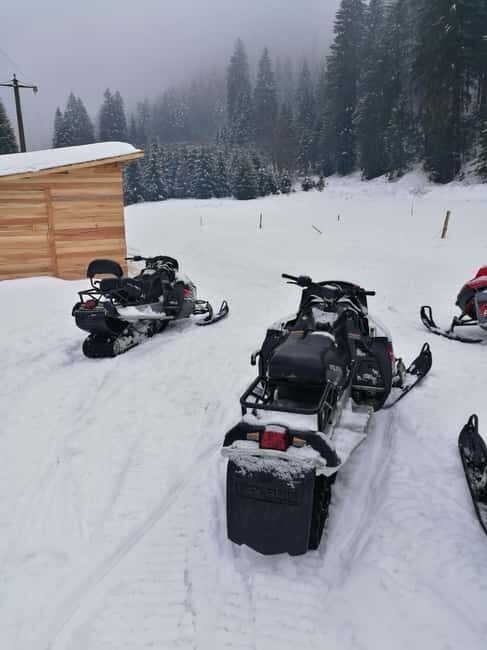 From Bucharest: Snowmobile Tour in the Carpathian Mountains - What to Expect from the Guides and Transportation