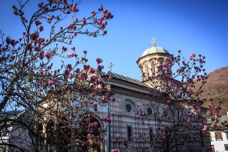 from-bucharest-unravel-medieval-transylvania-in-3-day-tour