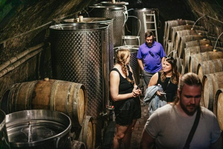 from-budapest-etyek-wine-tasting-tour-with-3-course-meal