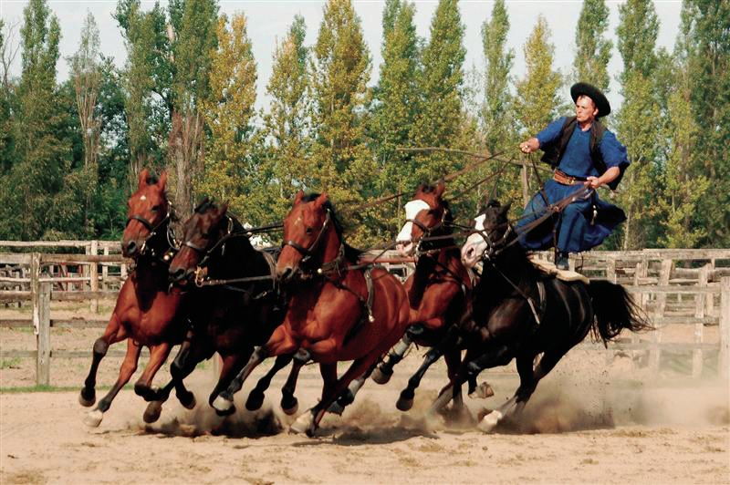 from-budapest-full-day-puszta-tour-with-lunch-and-show