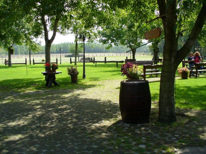 from-budapest-full-day-puszta-tour-with-lunch-and-show