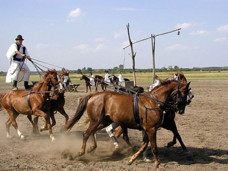 from-budapest-full-day-puszta-tour-with-lunch-and-show