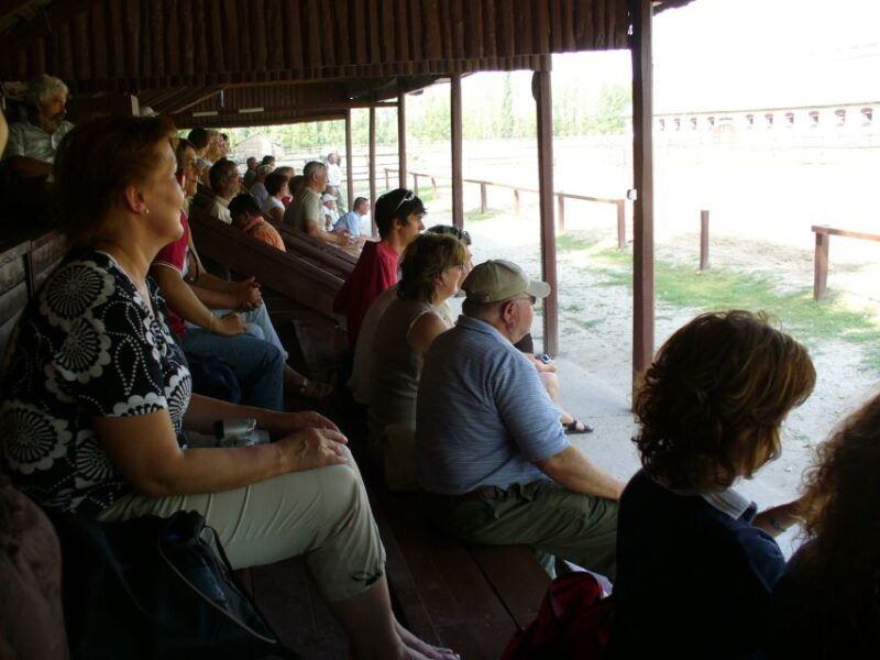 from-budapest-full-day-puszta-tour-with-lunch-and-show