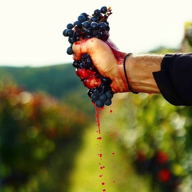 from-budapest-guided-tour-of-eger-with-wine-tasting