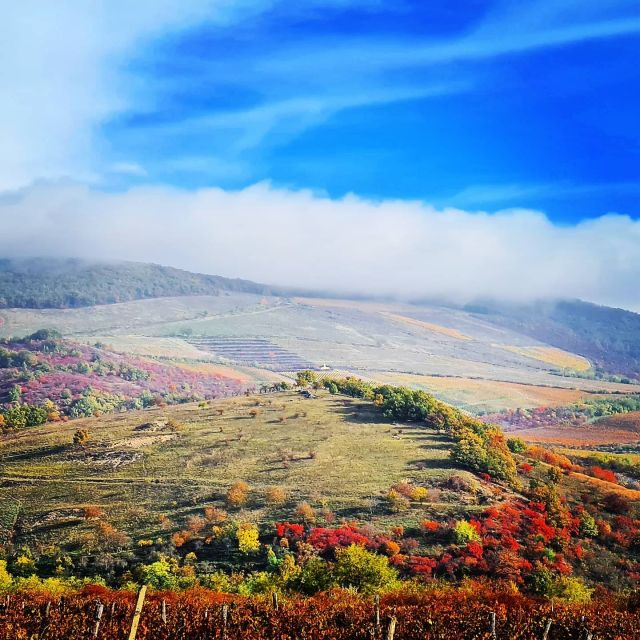 from-budapest-guided-tour-of-eger-with-wine-tasting