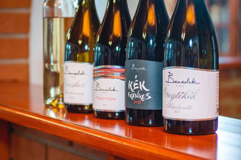 from-budapest-matra-hills-wine-tour