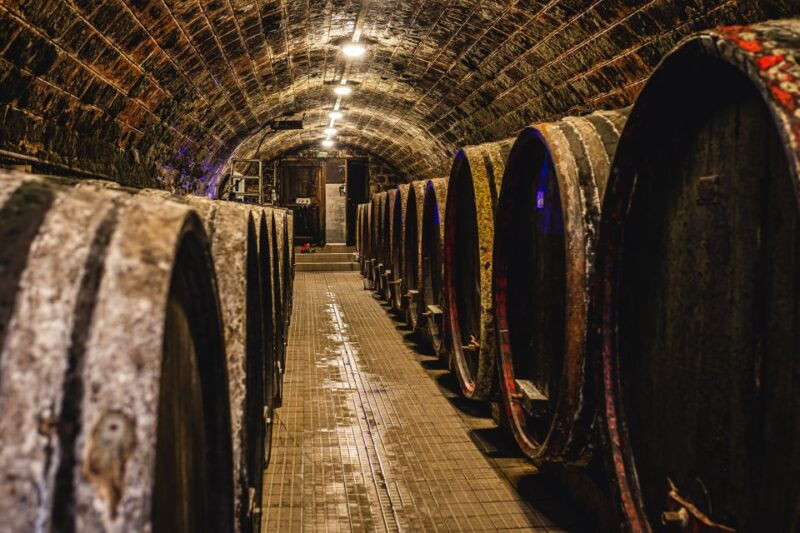 from-budapest-matra-hills-wine-tour
