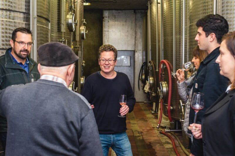 from-budapest-matra-hills-wine-tour