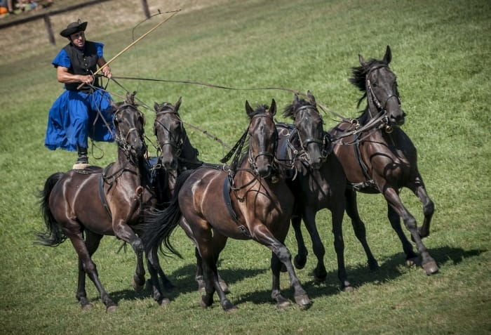 from-budapest-puszta-horse-show-and-countryside-visit
