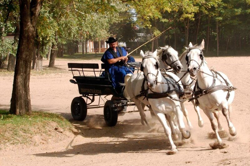 from-budapest-puszta-horse-show-and-countryside-visit