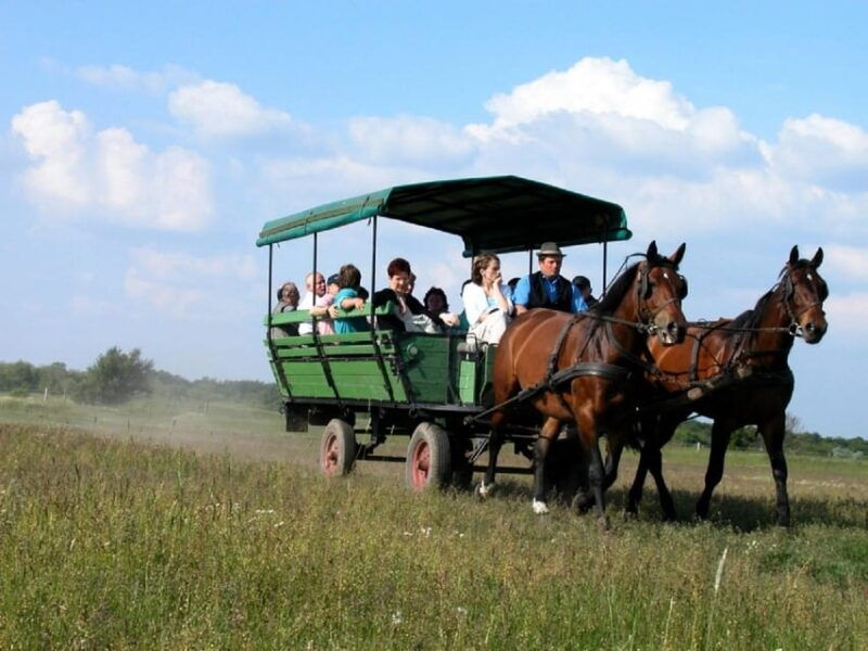 from-budapest-puszta-horse-show-and-countryside-visit