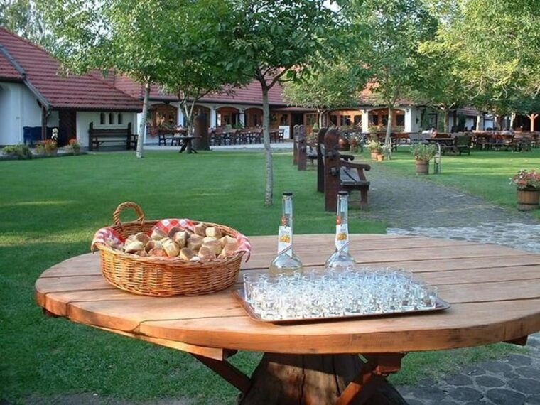 from-budapest-puszta-horse-show-and-countryside-visit