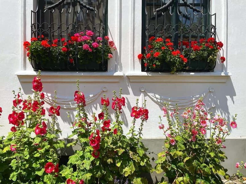 From Budapest: Szentendre Art and History with StreetFood - Exploring Szentendre’s Architecture and Streets