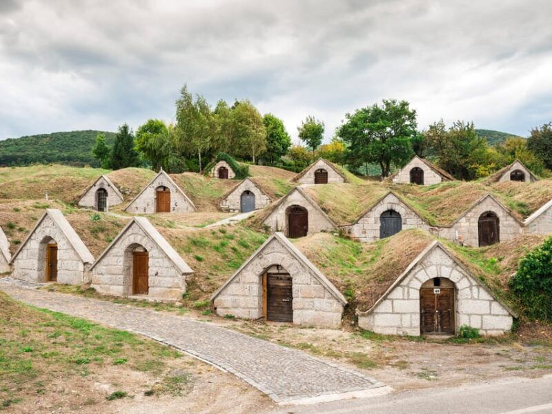 from-budapest-tokaj-wine-tour-with-tasting-and-lunch