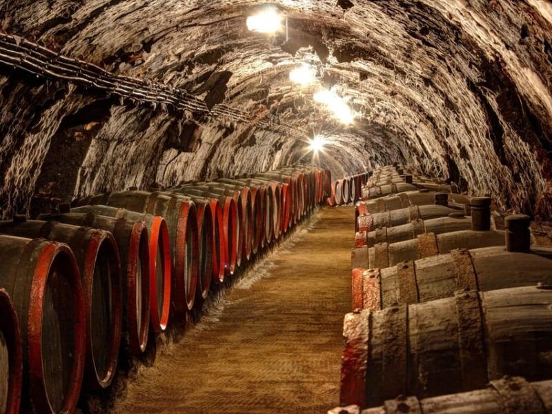 from-budapest-tokaj-wine-tour-with-tasting-and-lunch