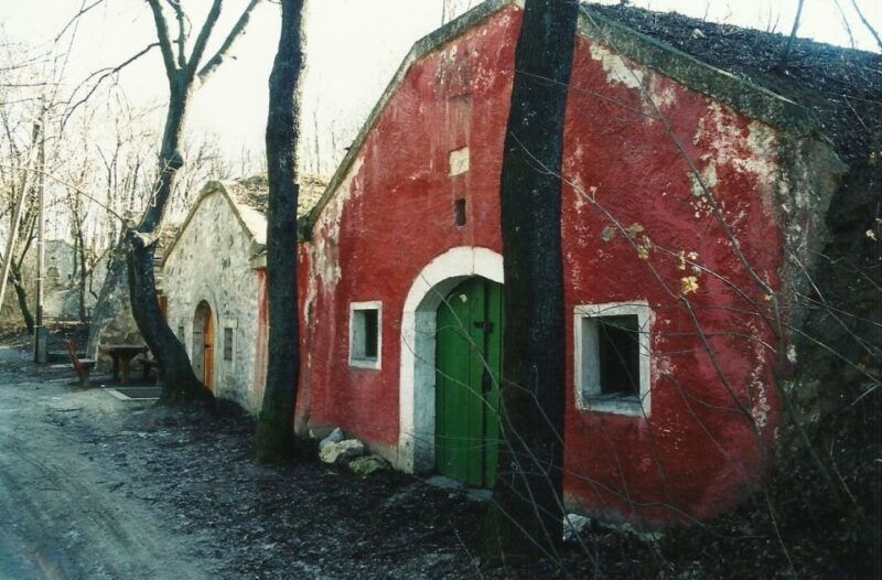 from-budpaest-paty-wine-village-tour-with-tastings