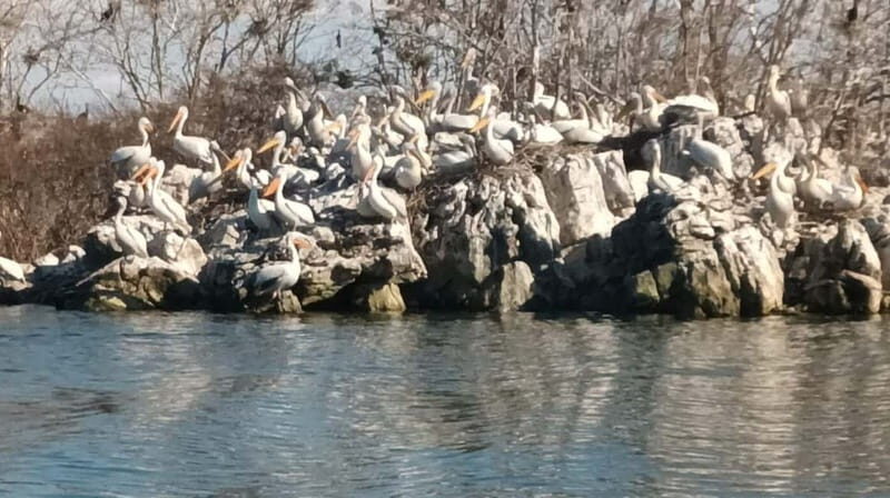 From Budva: Skadar Lake Land and Boat Tour - FAQ