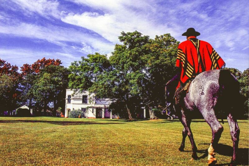 from-buenos-aires-gaucho-and-ranch-day-tour