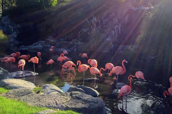 from-buenos-aires-temaiken-biopark-with-transfer-and-tickets