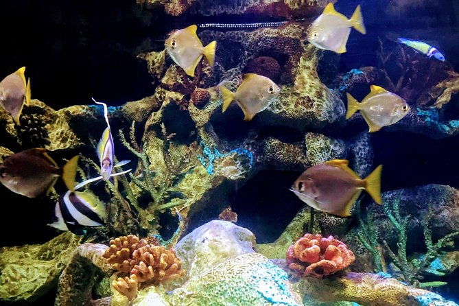 from-buenos-aires-temaiken-biopark-with-transfer-and-tickets