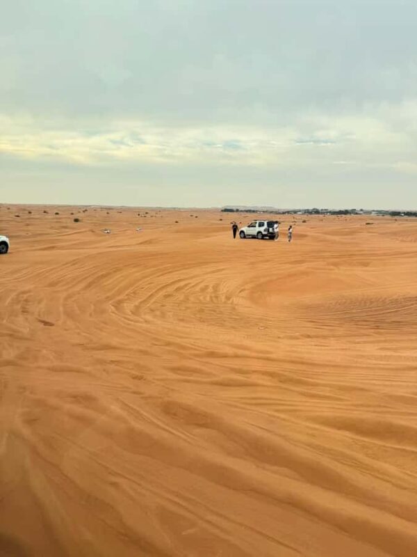 From Bukhara: Desert Safari Eco-Tour Experience - An In-Depth Look at the Desert Safari Eco-Tour