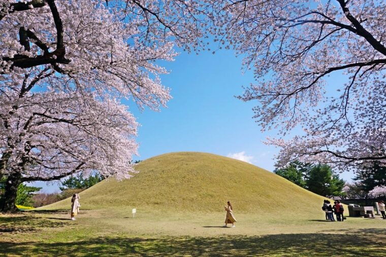 from-busan-echoes-of-silla-gyeongju-historical-day-tour