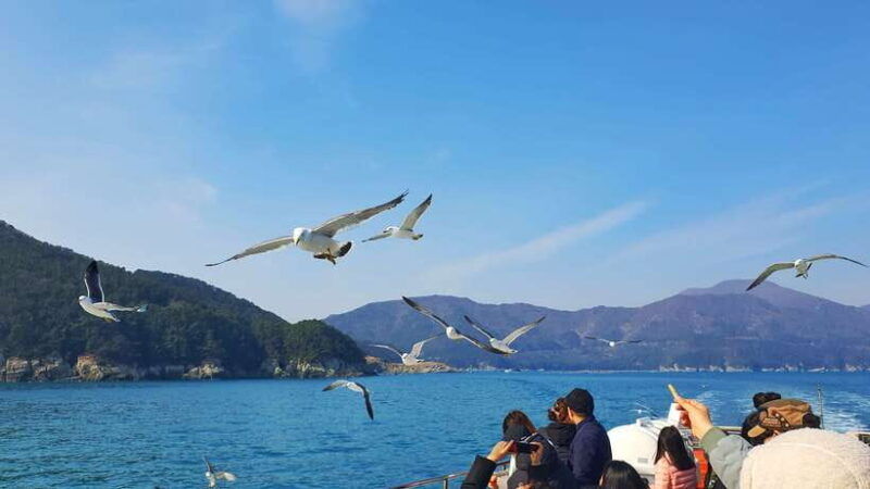 from-busan-enchanting-oedo-island-day-tour-with-windy-hill