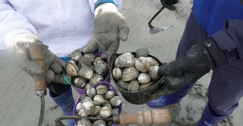 from-busan-geoje-mudflat-experience-and-korean-gourmet-food