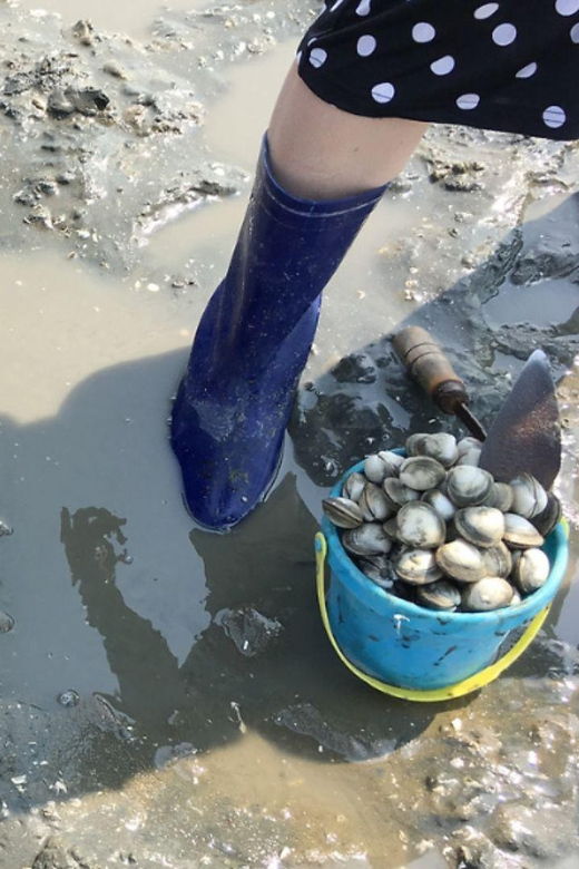 from-busan-geoje-mudflat-experience-and-korean-gourmet-food