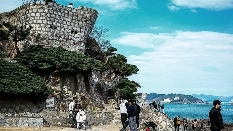 from-busan-geoje-mudflat-experience-and-korean-gourmet-food