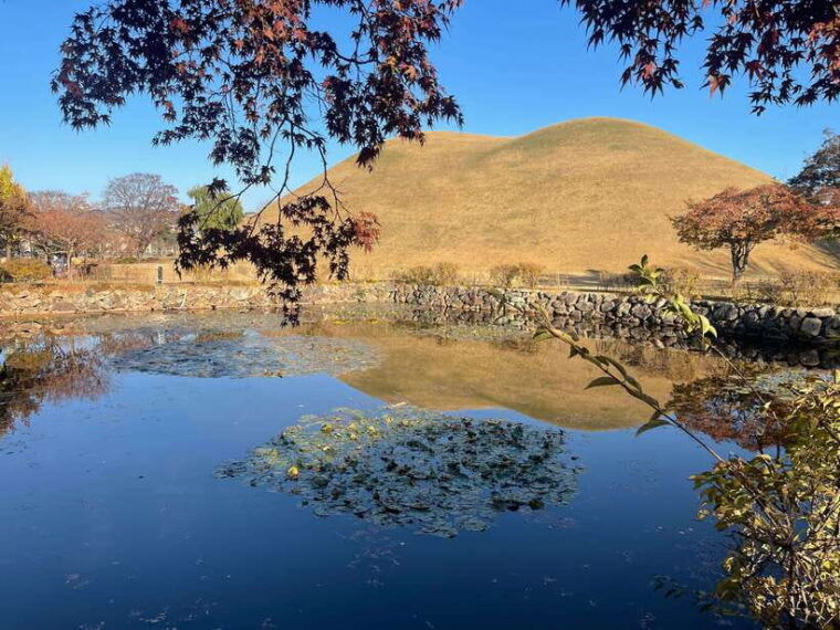from-busan-gyeongju-unesco-guided-full-day-tour
