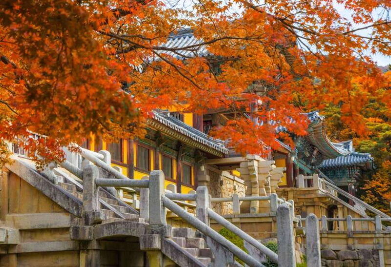 from-busan-gyeongju-unesco-world-heritage-guided-day-tour
