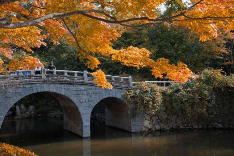 from-busan-gyeongju-unesco-world-heritage-guided-day-tour