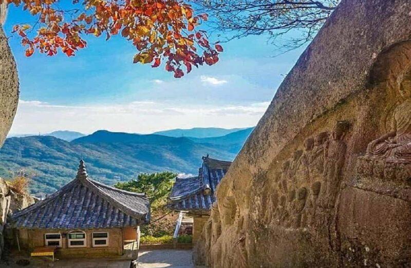 From Busan: Hidden Buddhist Temples Tour Private Day Trip - Key Points