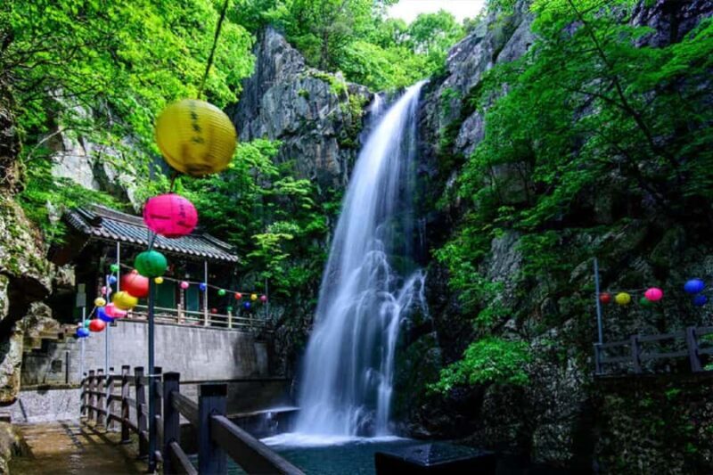 From Busan: Hidden Buddhist Temples Tour Private Day Trip - A Deep Dive into the Experience