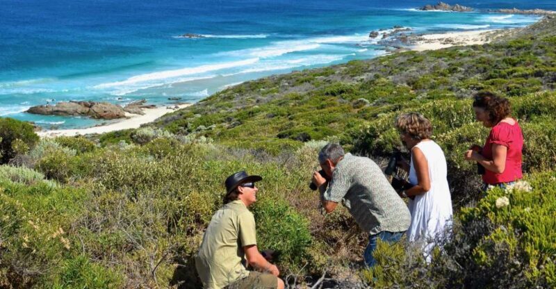 From Busselton: Half-Day Coastal and Wildlife Eco Tour - Key Points
