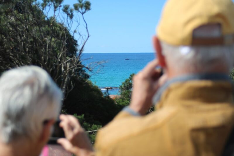 From Busselton: Half-Day Coastal and Wildlife Eco Tour - Practical Details and Tips