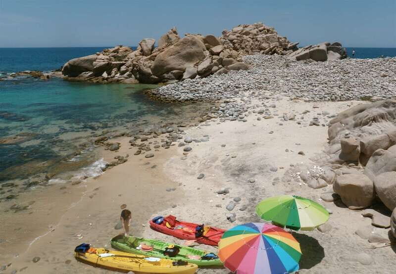 From Cabo: Cabo Pulmo Marine Park Snorkeling and Kayaking - Why Youll Love the Cabo Pulmo Marine Park Tour