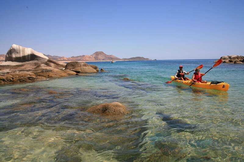 From Cabo: Cabo Pulmo Marine Park Snorkeling and Kayaking - Authentic Experiences and Final Thoughts