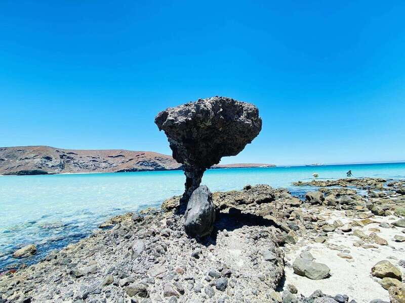 From Cabo/San José del Cabo: La Paz, Balandra & Todos Santos - Who Should Consider This Tour?