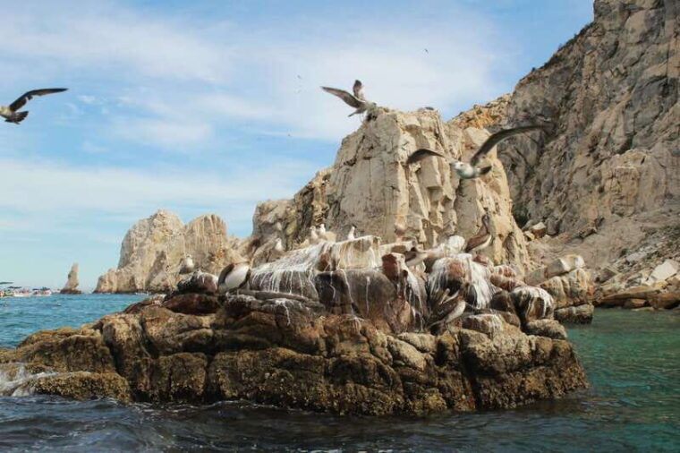from-cabo-san-lucas-lovers-beach-and-el-arco-boat-trip