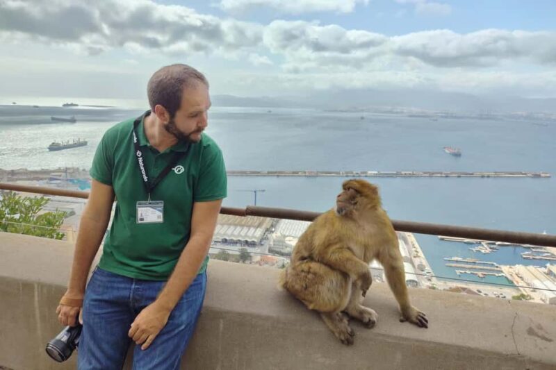From Cadiz Bay: Gibraltar Day Trip with Rock Tour - The Quality of the Tour Experience