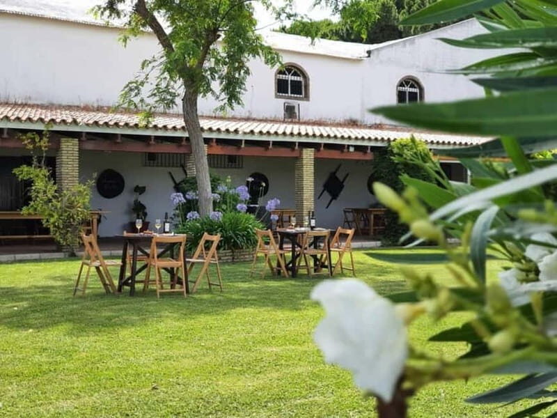 From Cádiz: Chiclana de la Frontera Winery Tour with Lunch - Final Thoughts