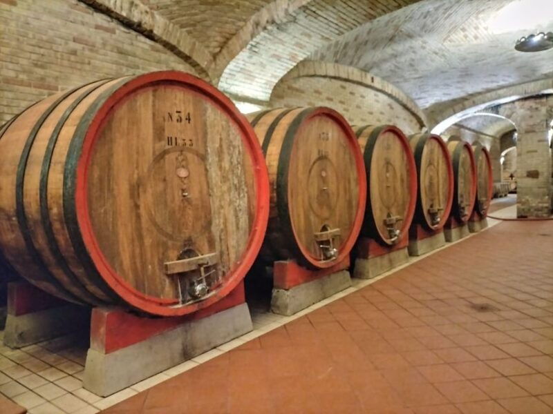 from-cagliari-wine-cellar-tour-with-tastings